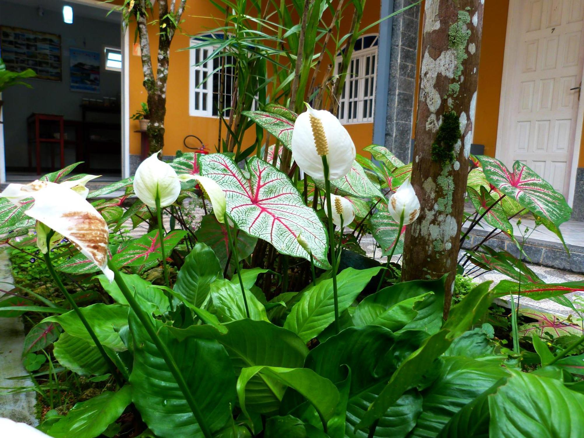 Pousada Vila Do Sonho ปาราตี ภายนอก รูปภาพ